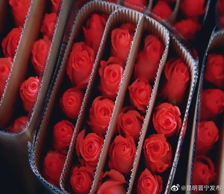 昆明晋宁发布