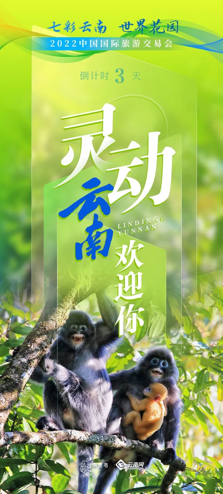 云南省文化和旅游厅