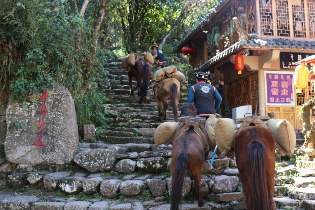 云南省文化和旅游厅