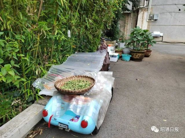 昭通日报