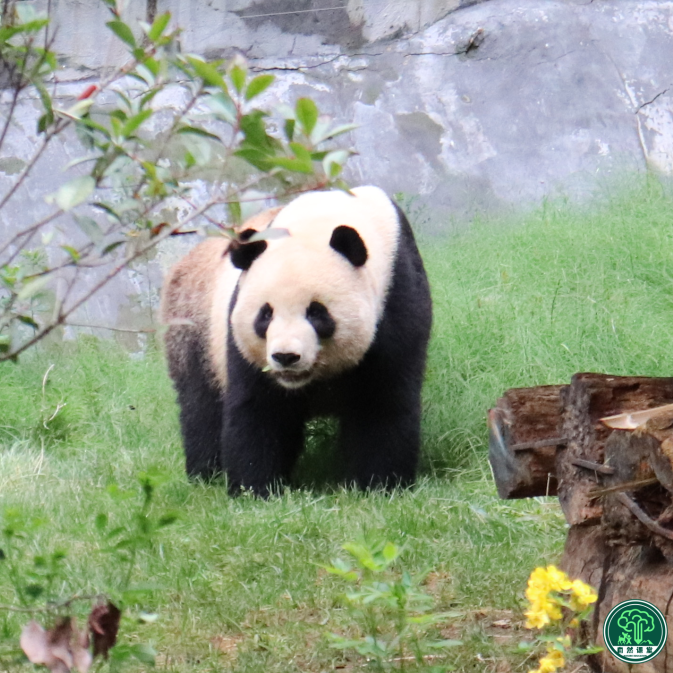 云南野生动物园