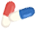 云南政法