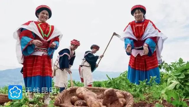 昆明市农业农村局