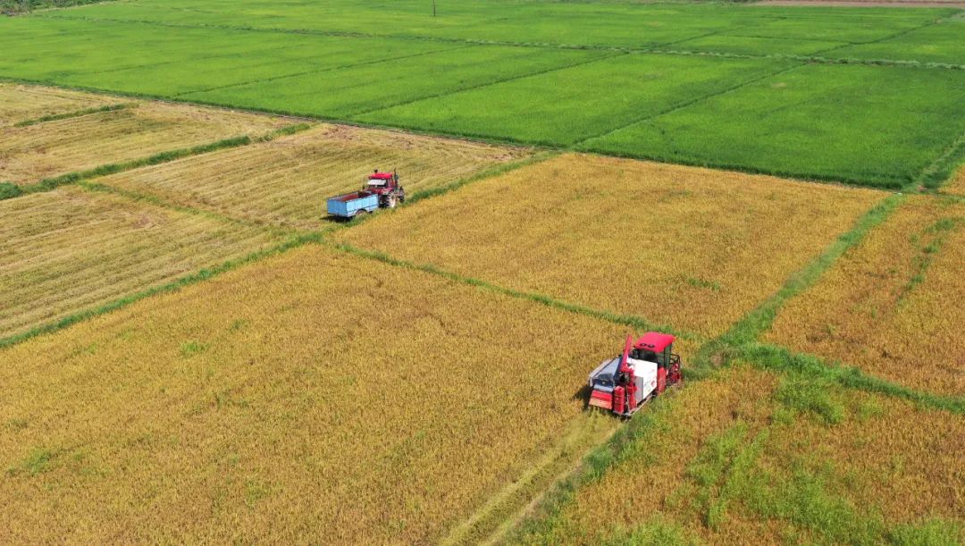 云南省人民政府网