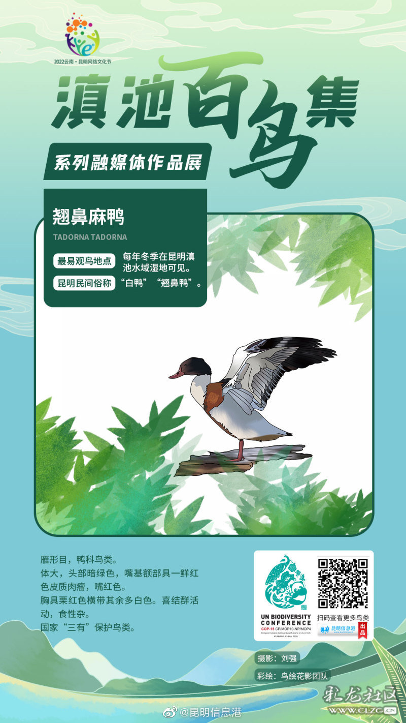 昆明信息港