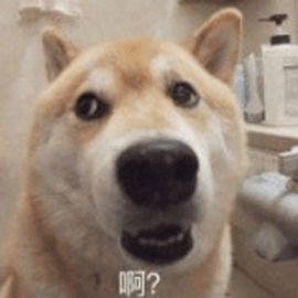云南法制报