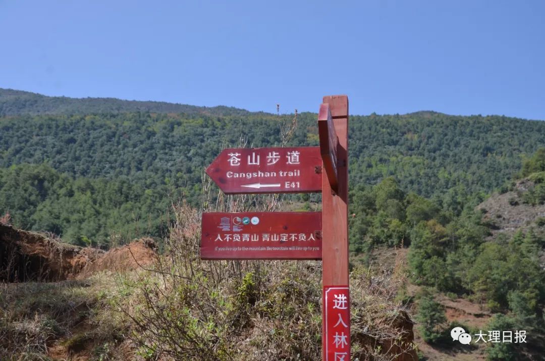大理日报