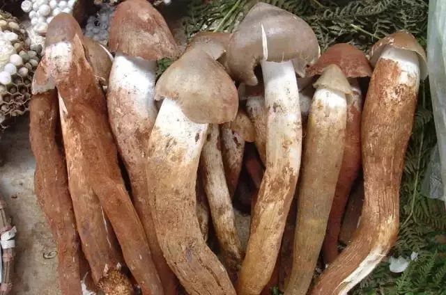 一部手机游云南