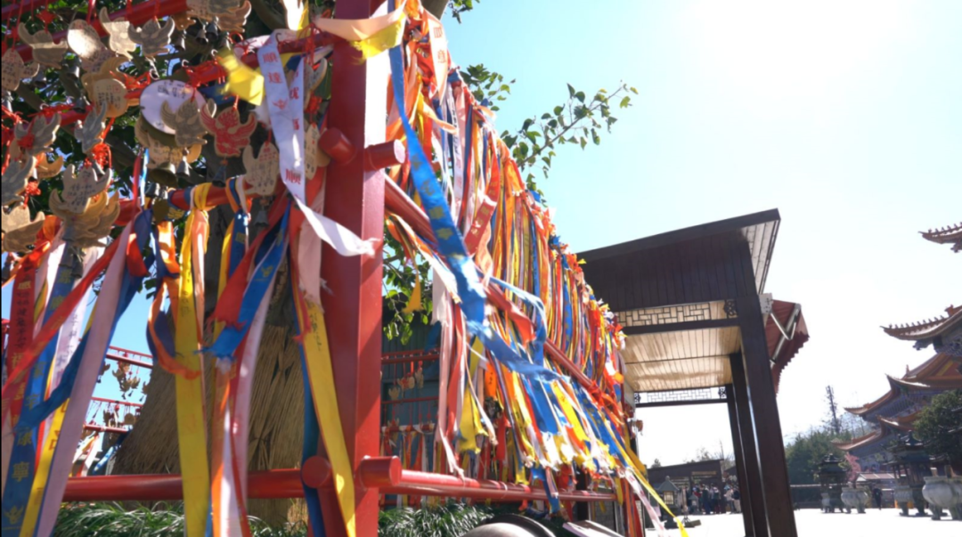 云南省文化和旅游厅