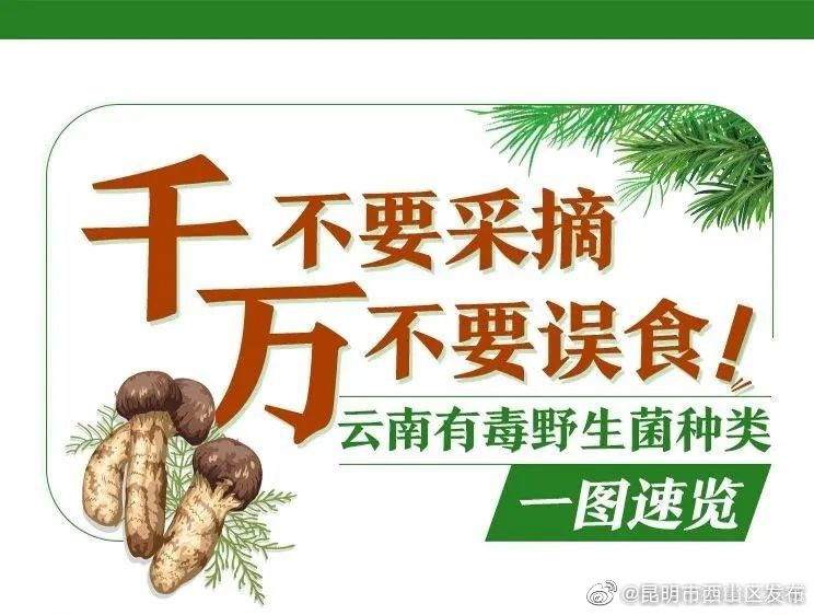 昆明市西山区发布