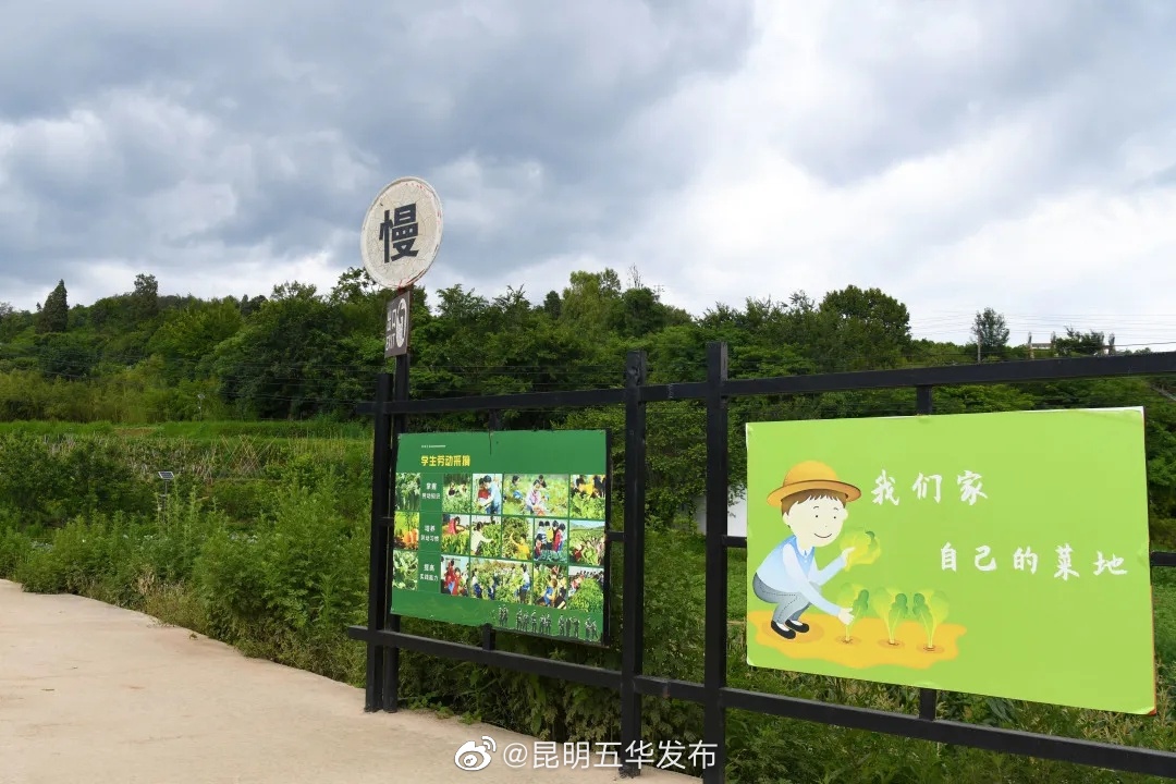 “昆明五华发布”微博