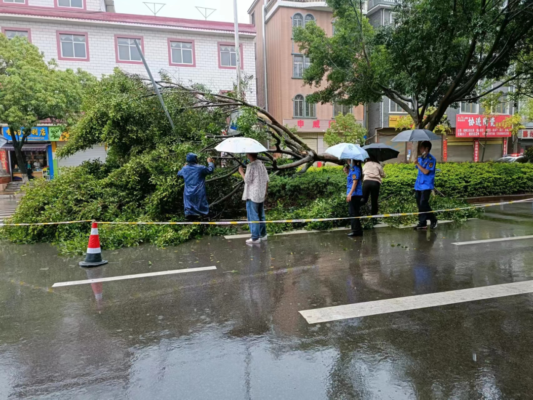 爱上富民
