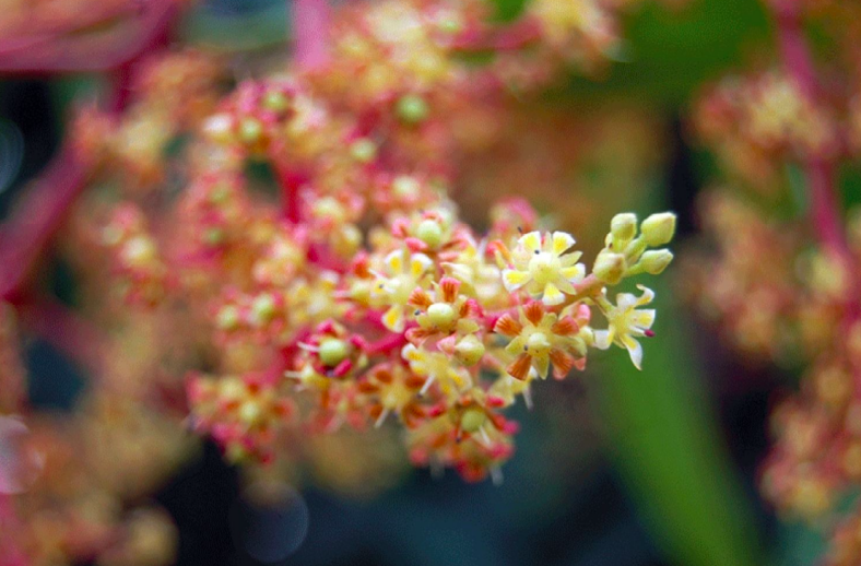 云南省文化和旅游厅