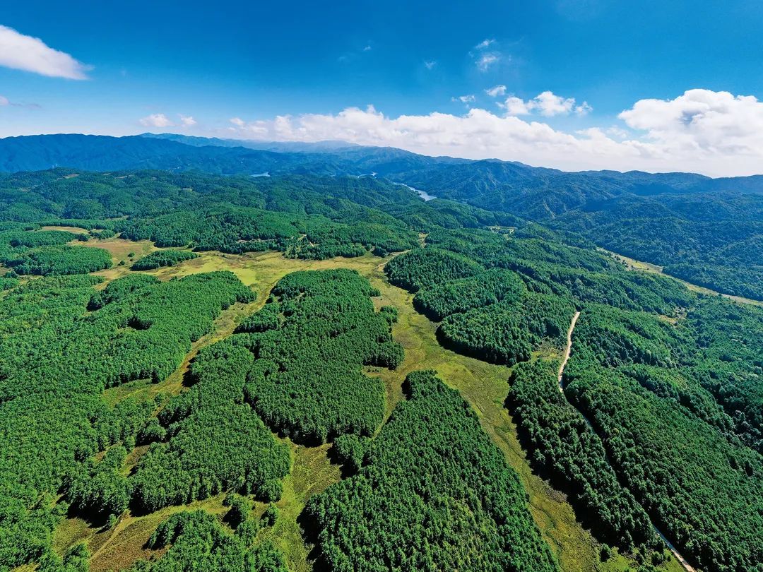 云南省文化和旅游厅