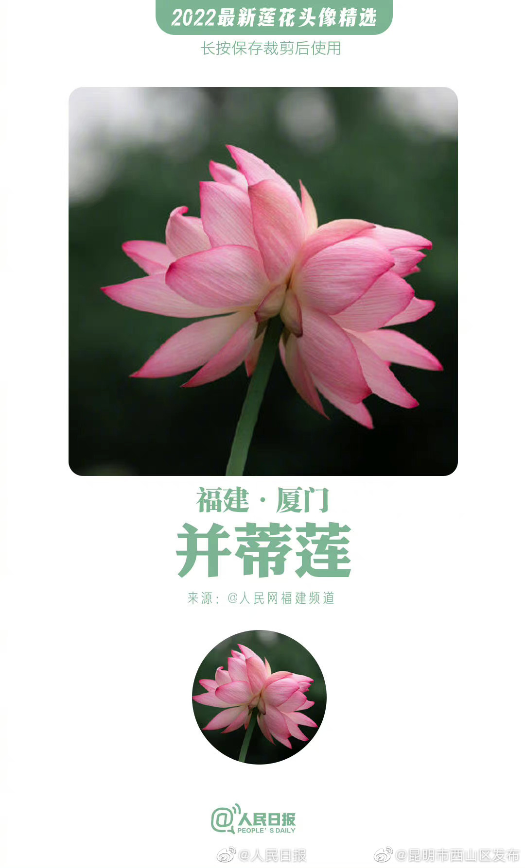 昆明市西山区发布