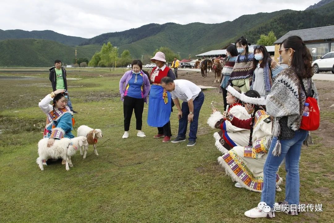 迪庆日报传媒