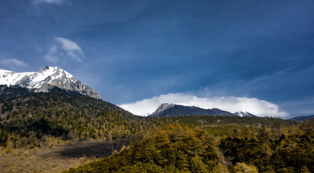 云南省文化和旅游厅