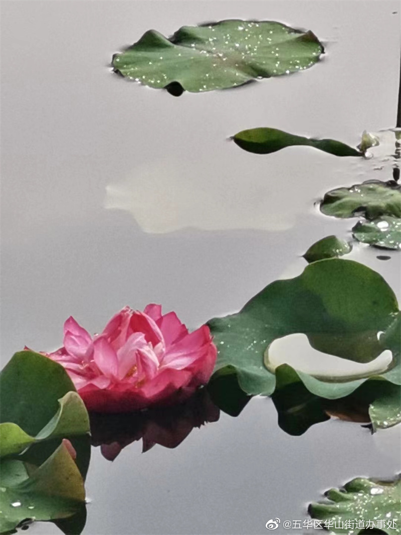 五华区华山街道办事处