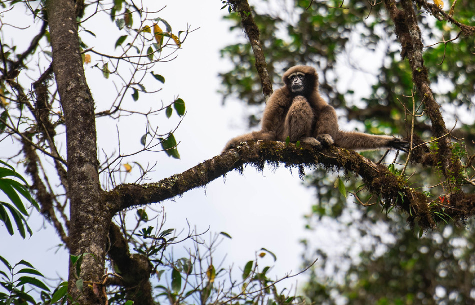 新华网云南频道