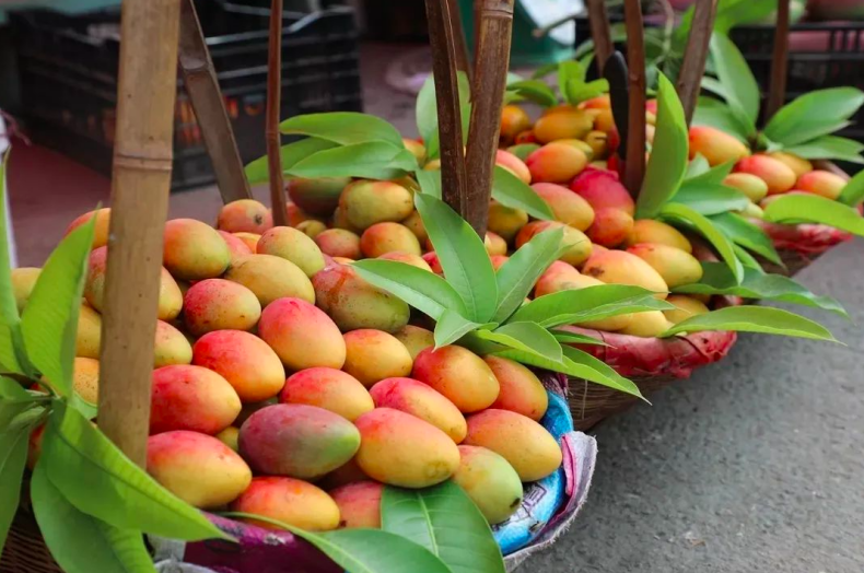 云南省文化和旅游厅