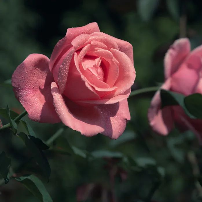 一部手机游云南