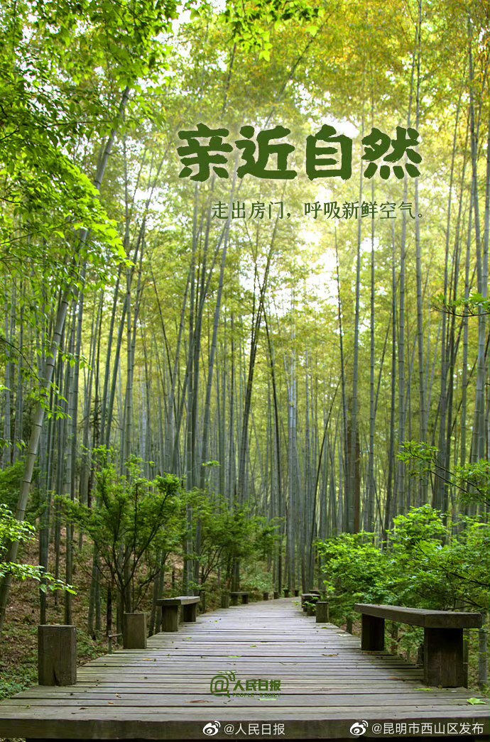 昆明市西山区发布