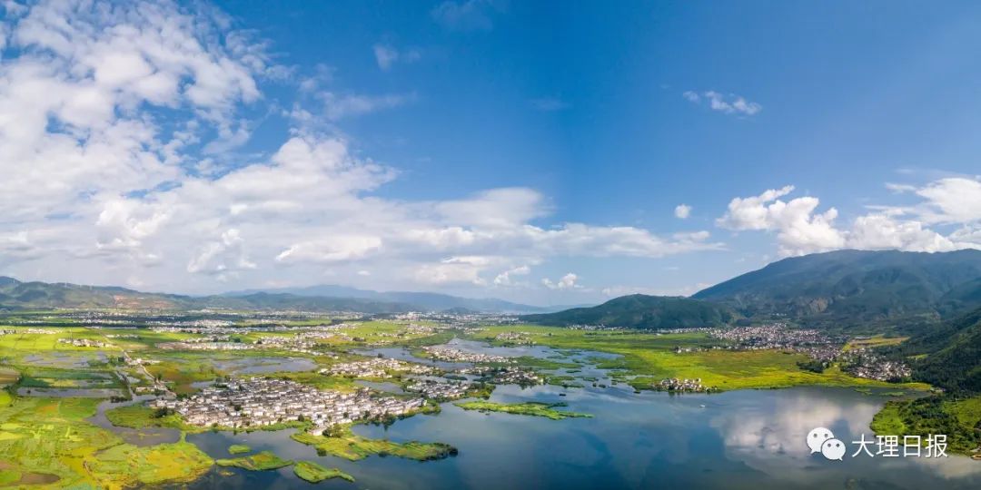 大理日报