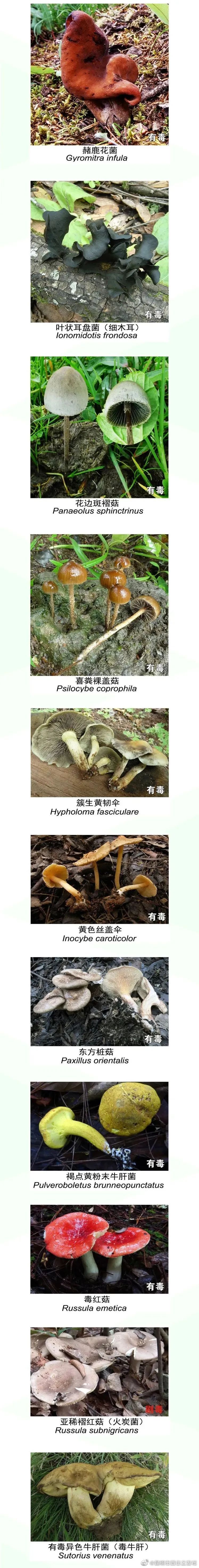 昆明市西山区发布