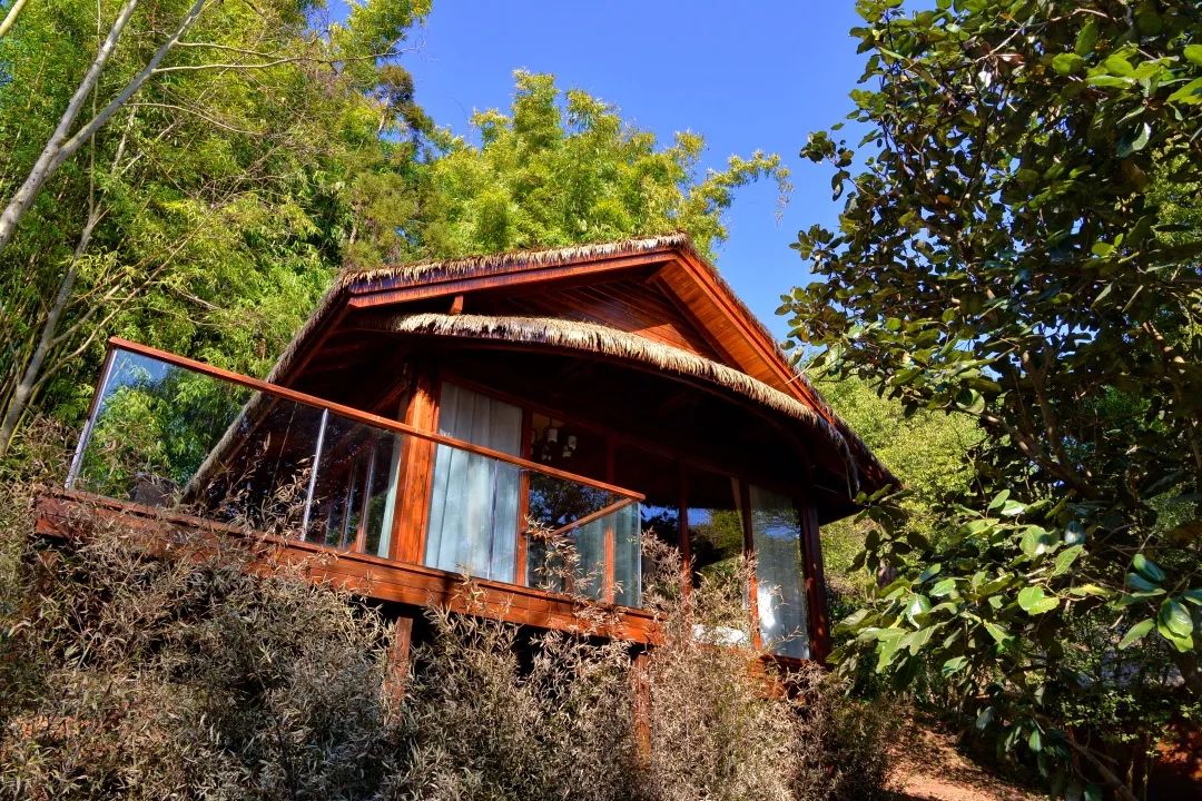 昆明轿子山旅游