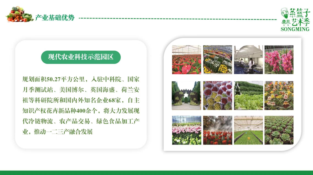 嵩明招商(微信)