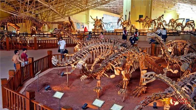 云南省文化和旅游厅