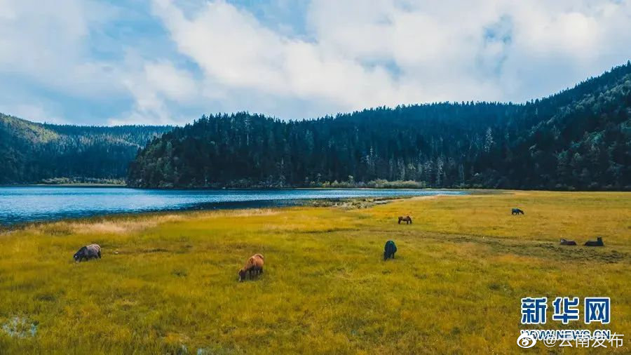 “云南发布”微博