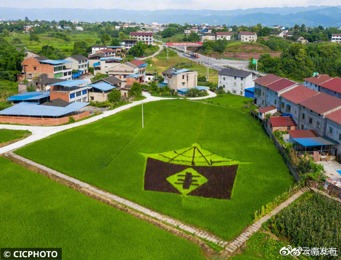 “云南发布”微博