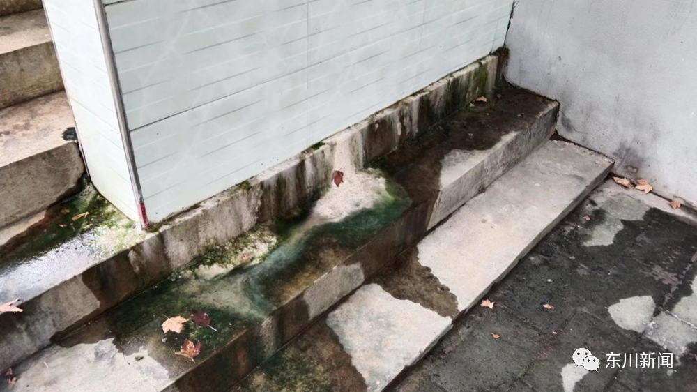 东川新闻