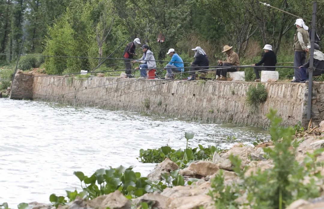 昆明信息港/cnkmxxg