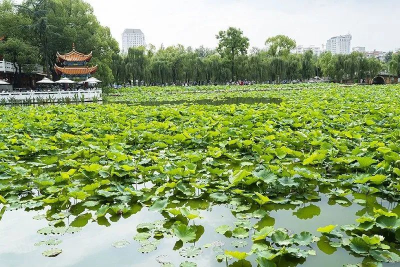 文旅云南