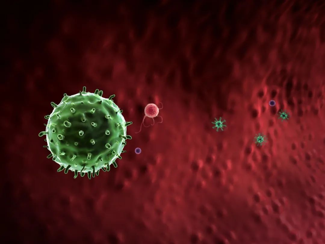 美丽云南微科普