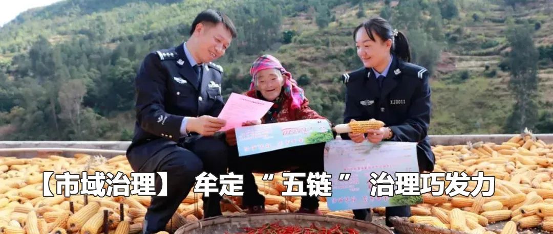 云南政法