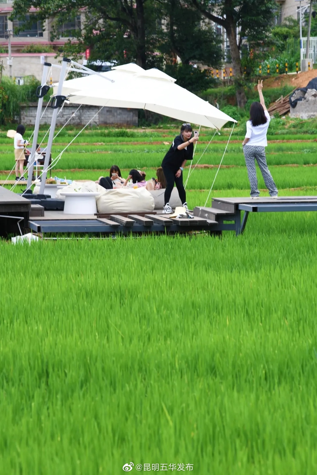 “昆明五华发布”微博