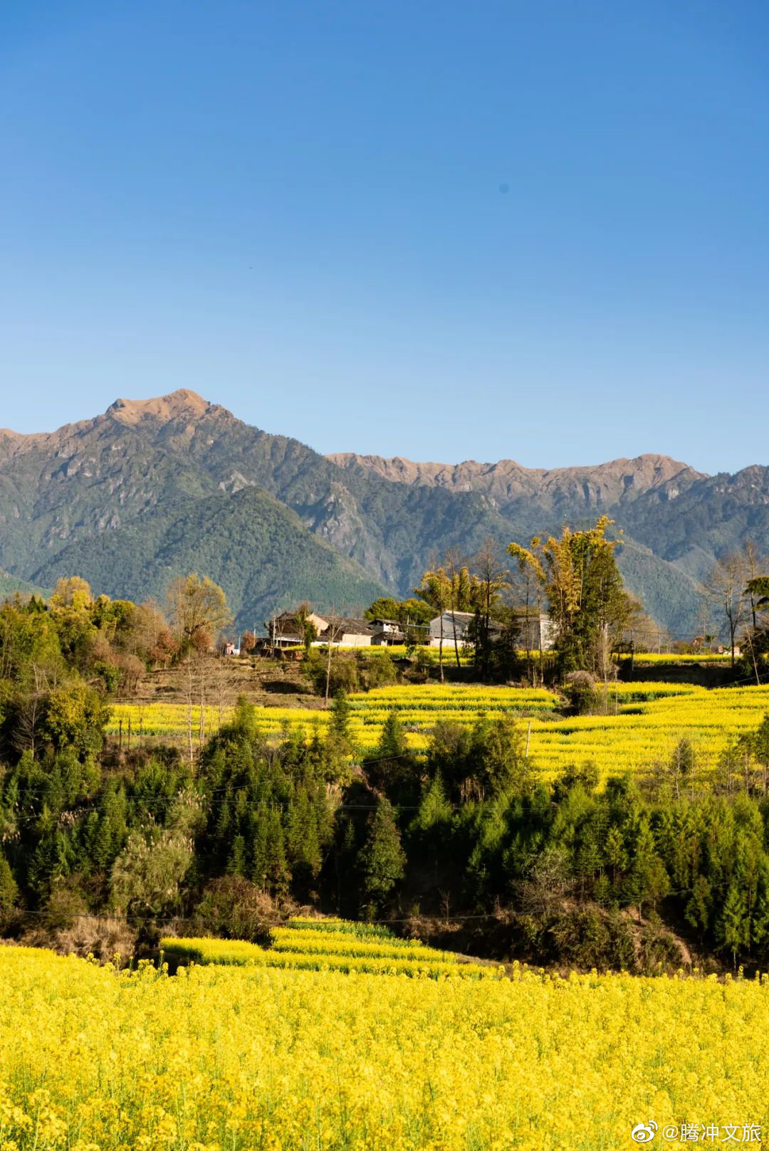 腾冲文旅微博
