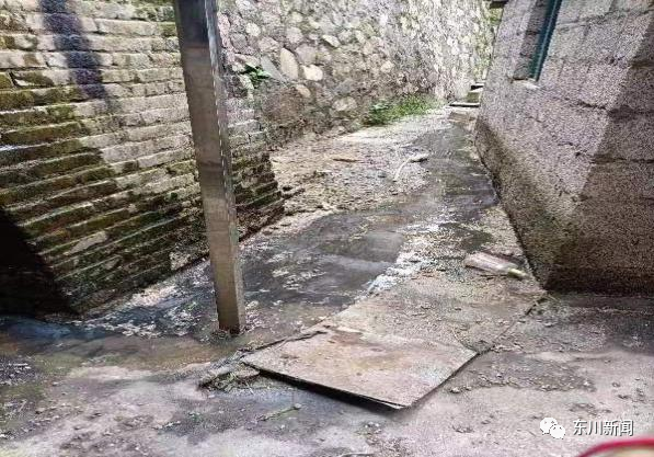 东川新闻