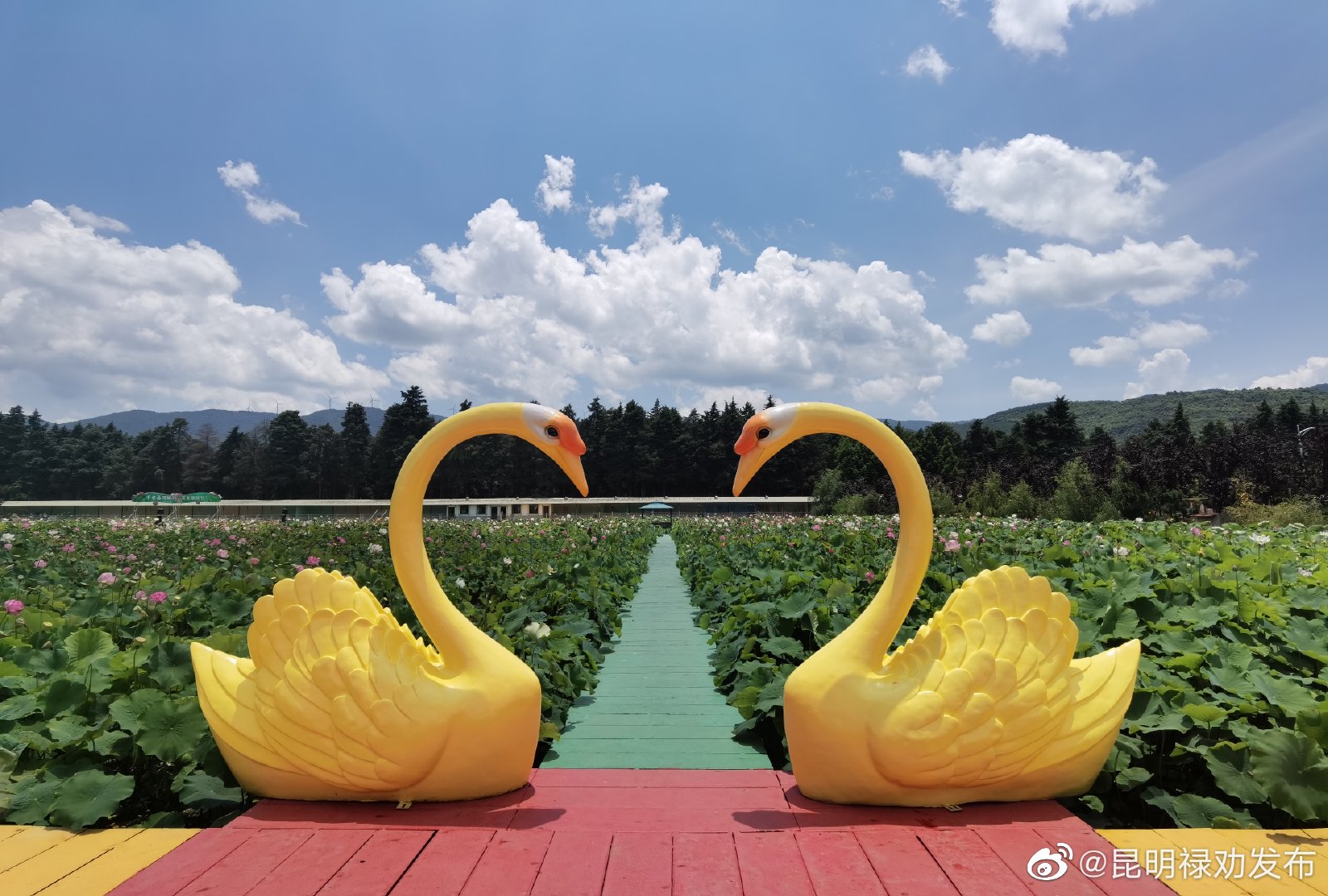 昆明禄劝发布