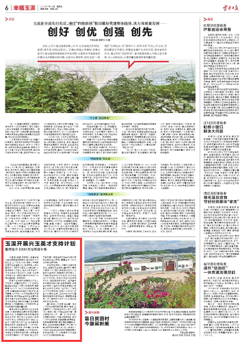玉溪先锋
