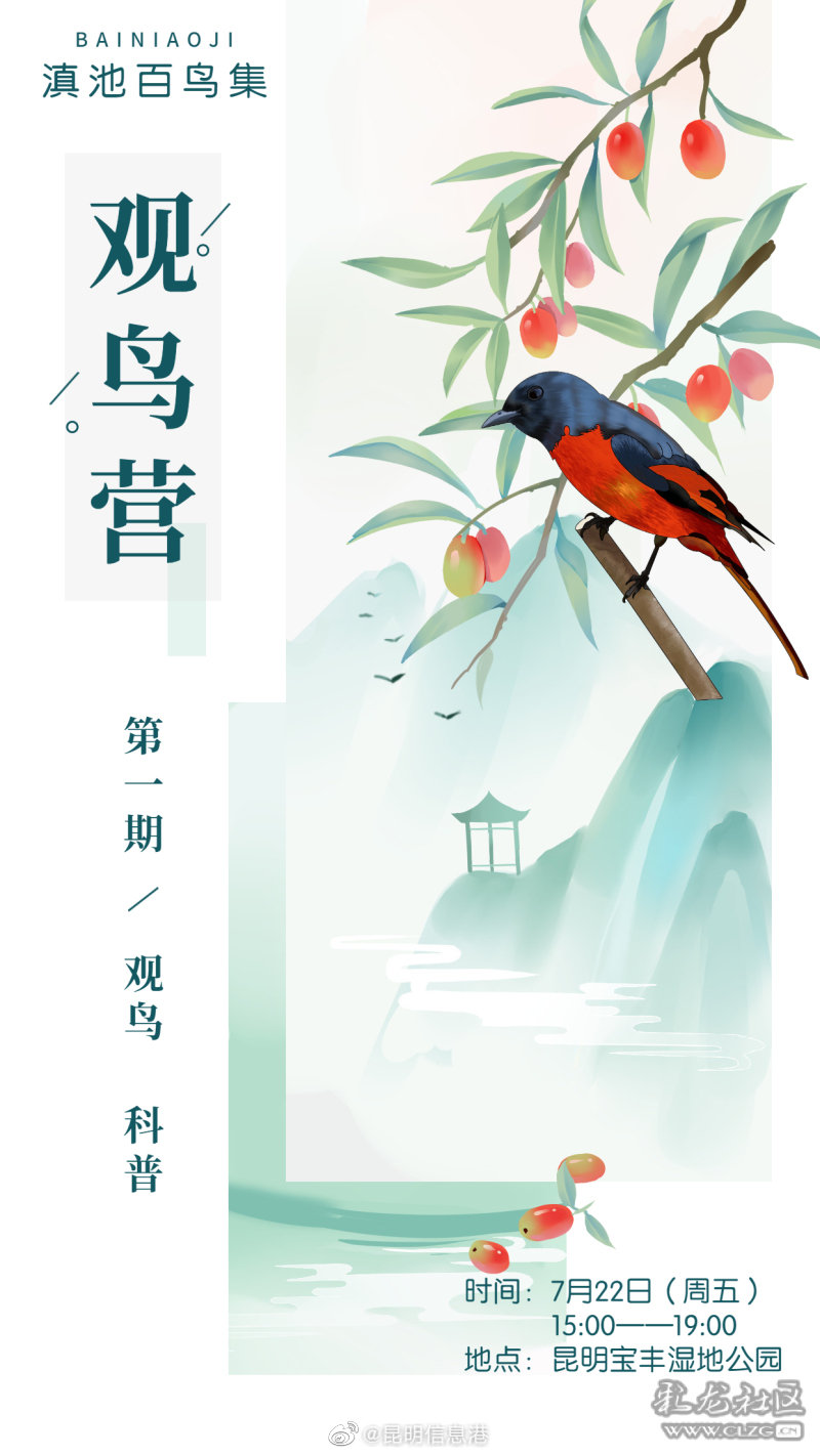 昆明信息港