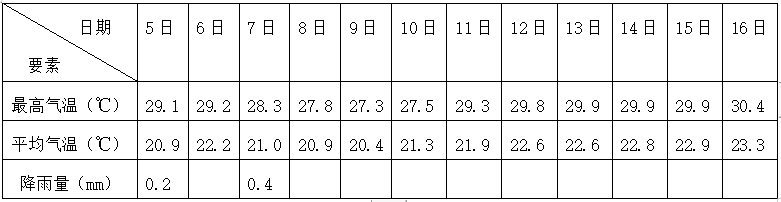 大理电视台
