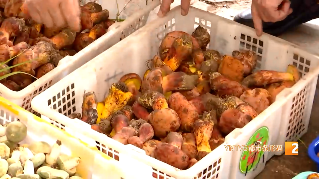 昆明滇池国家旅游度假区管理委员会(微信)