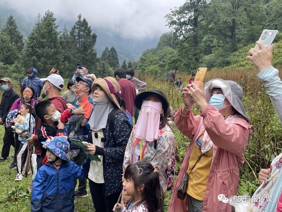 迪庆日报传媒