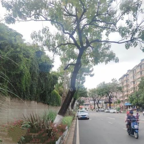 昆明西山发布
