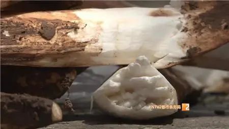 昆明信息港/cnkmxxg