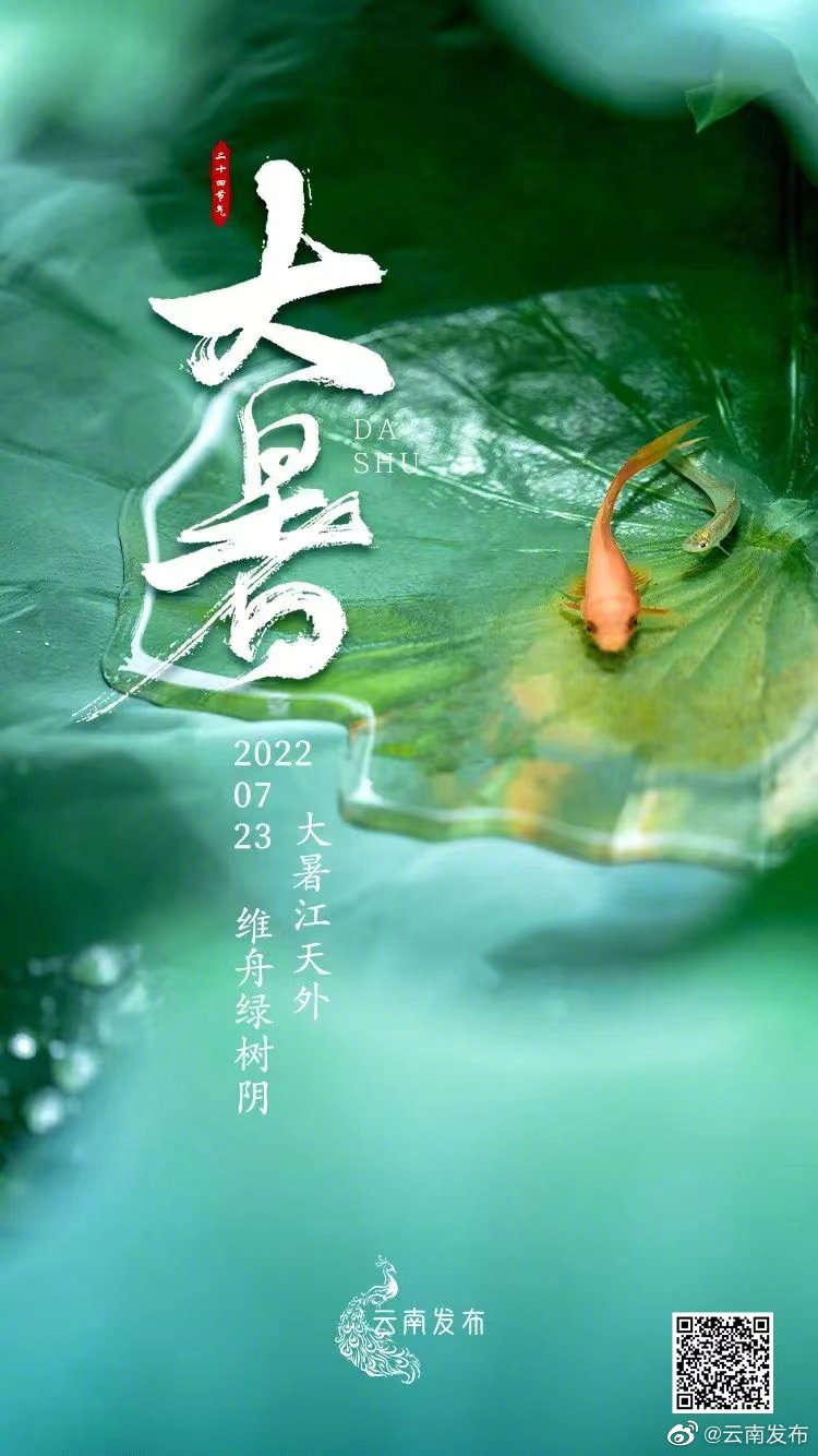 你好，大暑愿君夏安